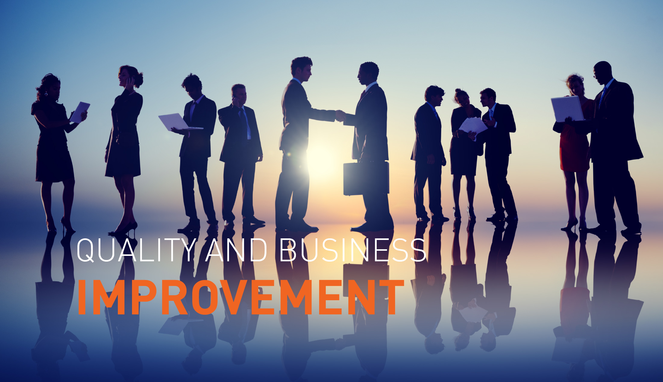 Quality and Business Improvement